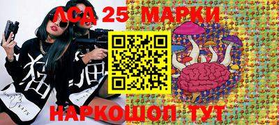 PSILOCYBIN Камышлов