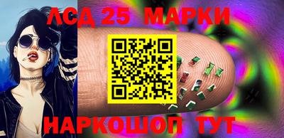 PSILOCYBIN Камышлов