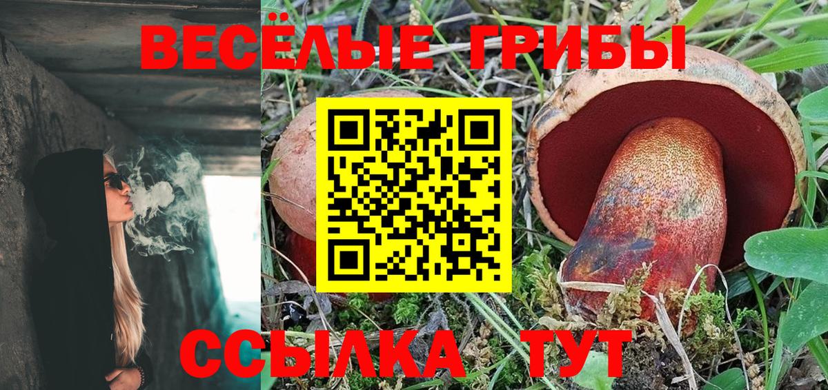 Псилоцибиновые грибы Cubensis  Вход с VPN  наркошоп  Киреевск 